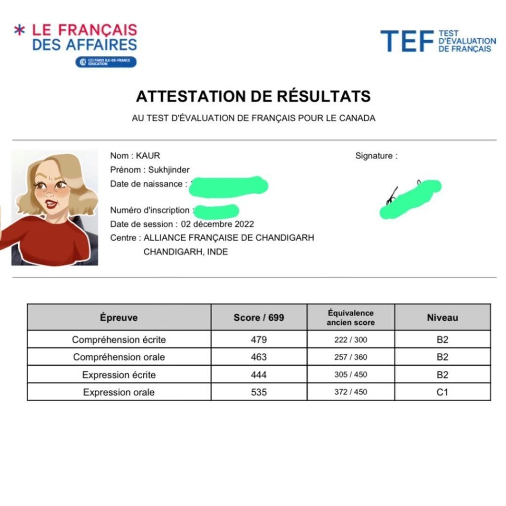 Obtain TEF certificate online